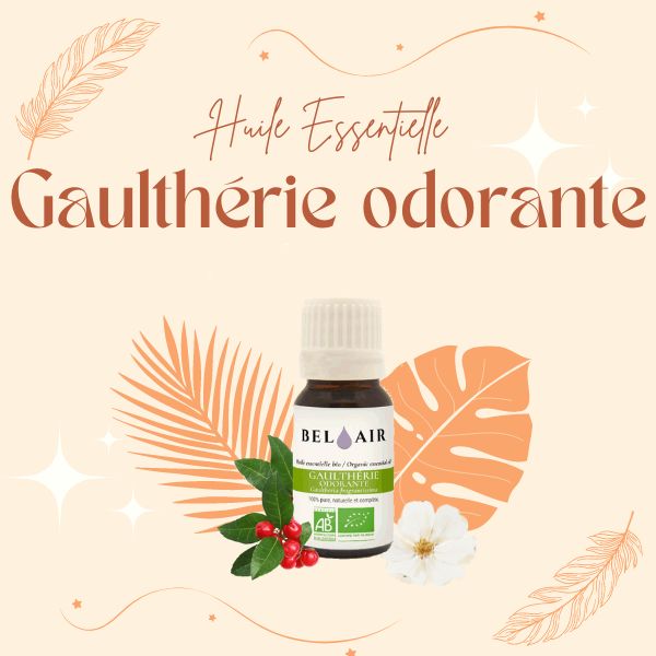 gaultherie odorante huile essentielle