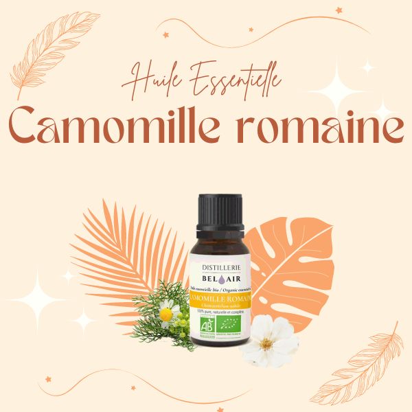 Huile essentielle de camomille romaine