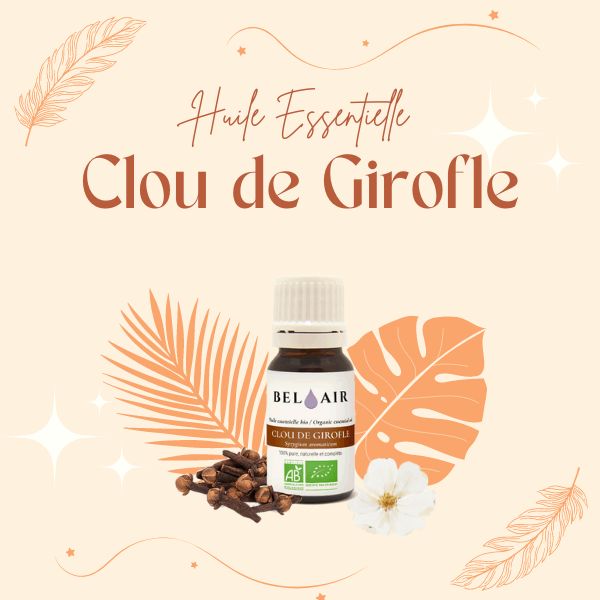 Huile essentielle clou de girofle