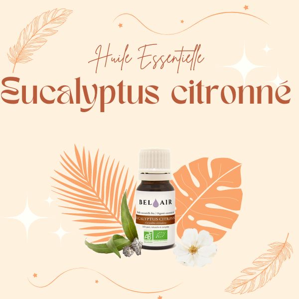 huile essentielle eucalyptus citronné