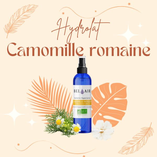 Hydrolat Camomille romaine