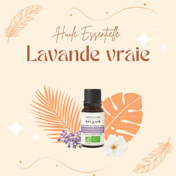 huile essentielle de lavande vraie pour les chiens