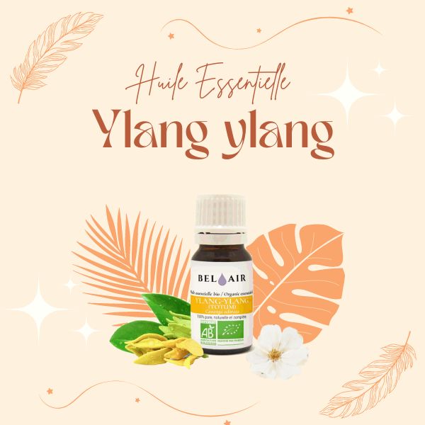 huile essentielle Ylang Ylang