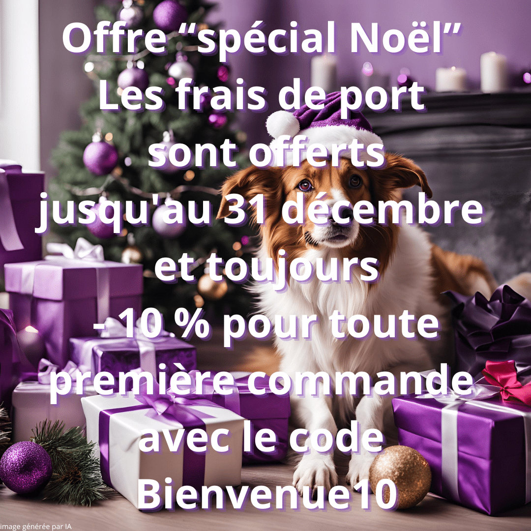 Offre spécial Noël Les frais de port sont offerts jusqu'au 31 décembre et toujours - 10 % pour toute première commande avec le code Bienvenue10