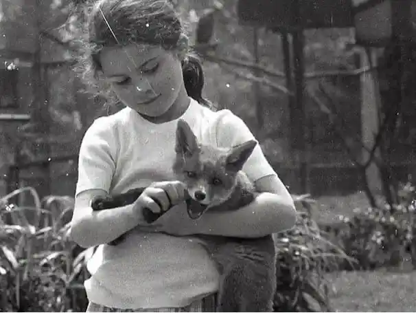 à propos améthyste et camomille