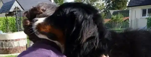 à propos améthyste et camomille