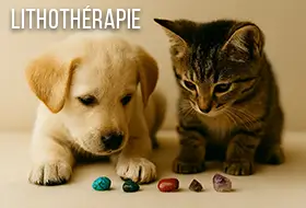 le-blog-lithotherapie