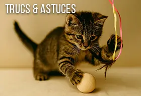 le-blog-trucs-astuces-et-recettes