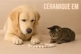 le-blog-ceramique-em