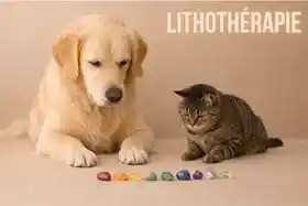 le-blog-lithotherapie