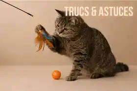 le-blog-trucs-astuces-et-recettes