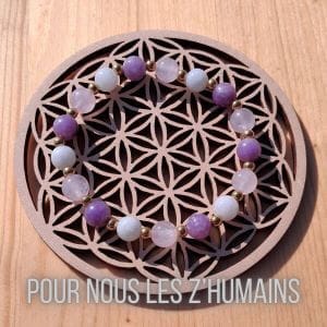 boutique amethyste et camomille categorie pour nous les z'humains